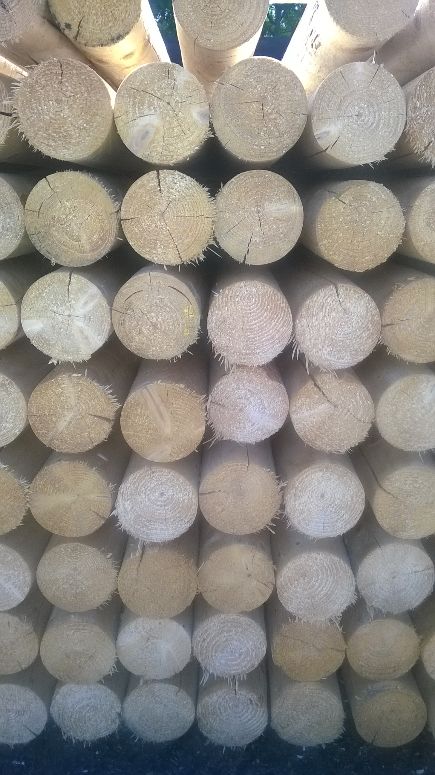 Hodinový manžel Radek Novák foto 2