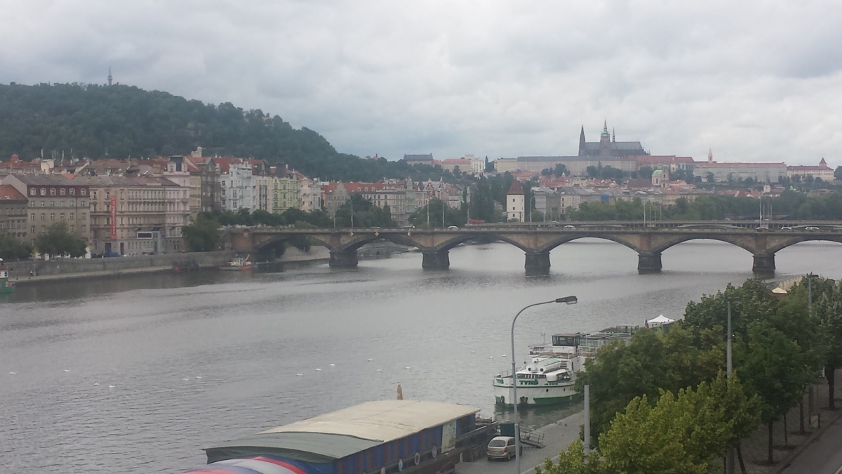 Akademie života v umění a hudbě, z.s. foto 2