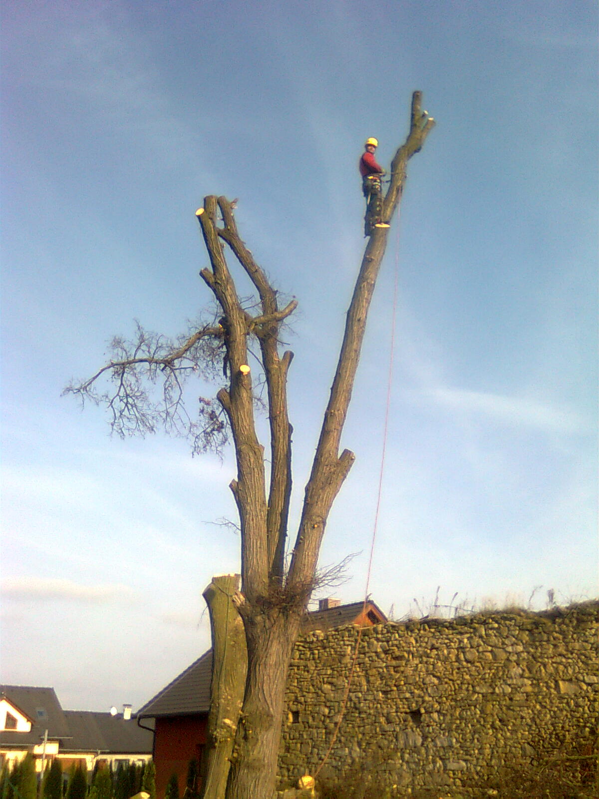 Treeclimbers - Daniel Dolenský foto 3