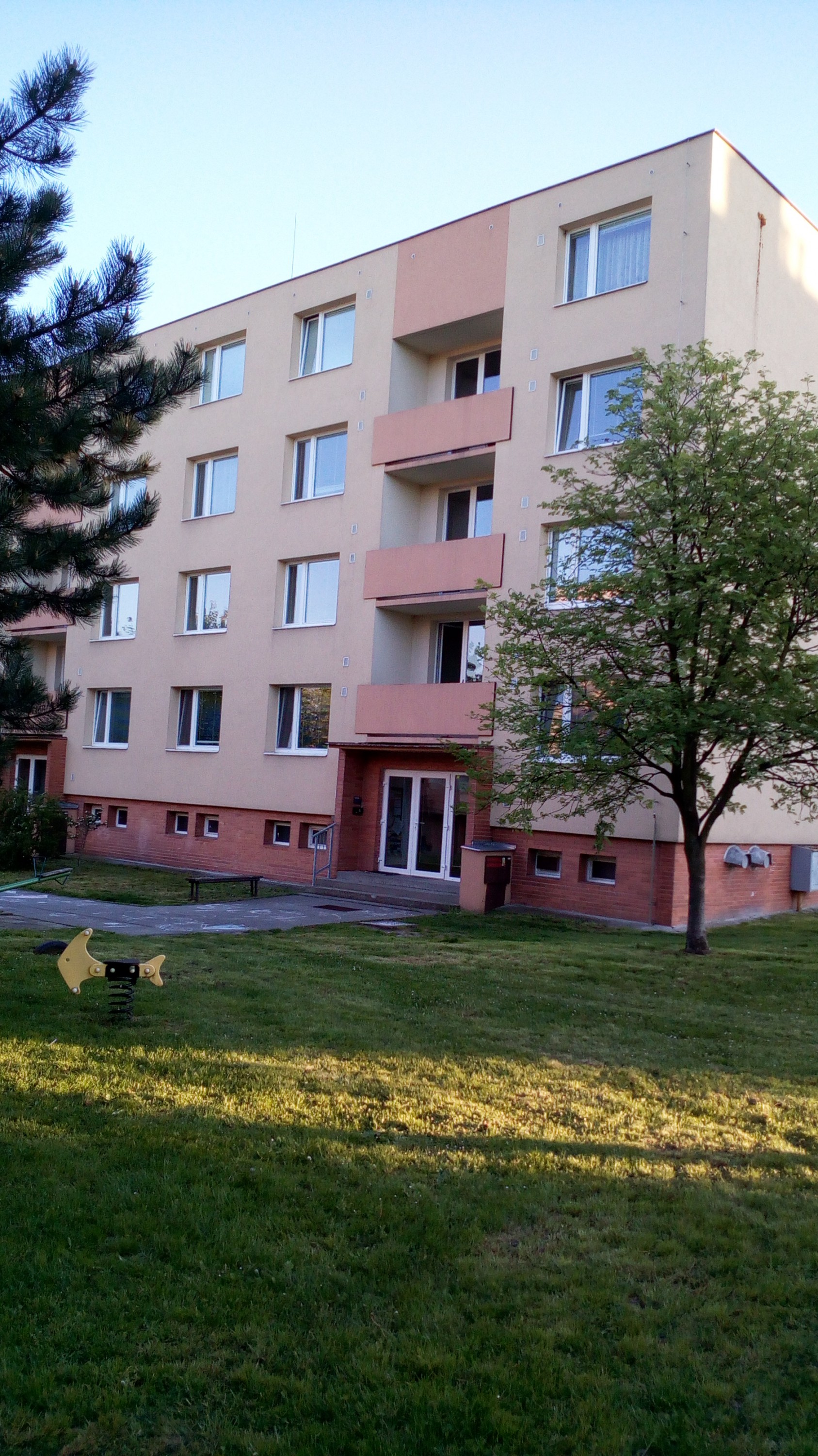 Michal Šilc - vykliďto.cz foto 2