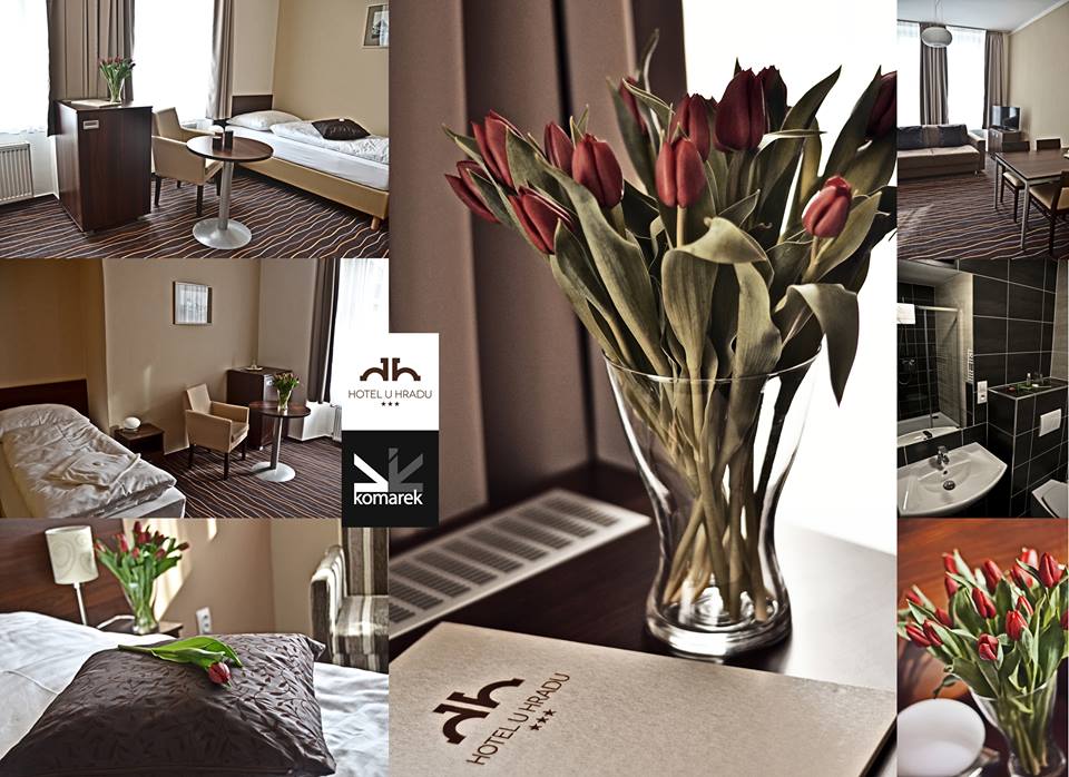 Hotel U Hradu foto 3