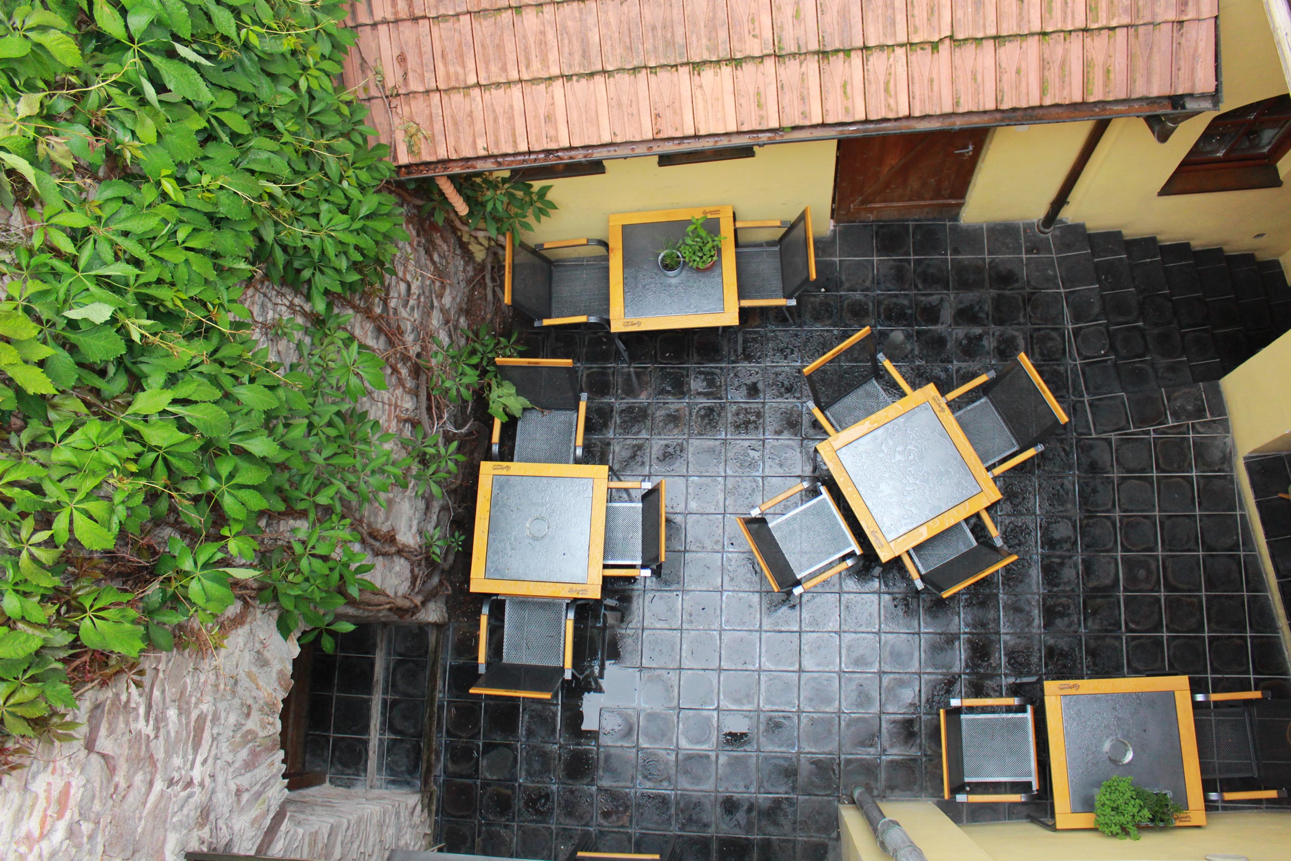 Penzion Bohemia foto 3