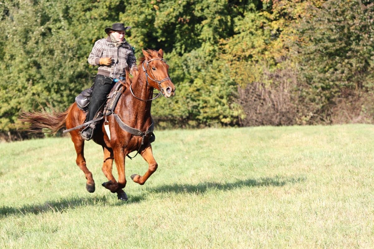 Sportovní klub ranch Viktorie foto 2