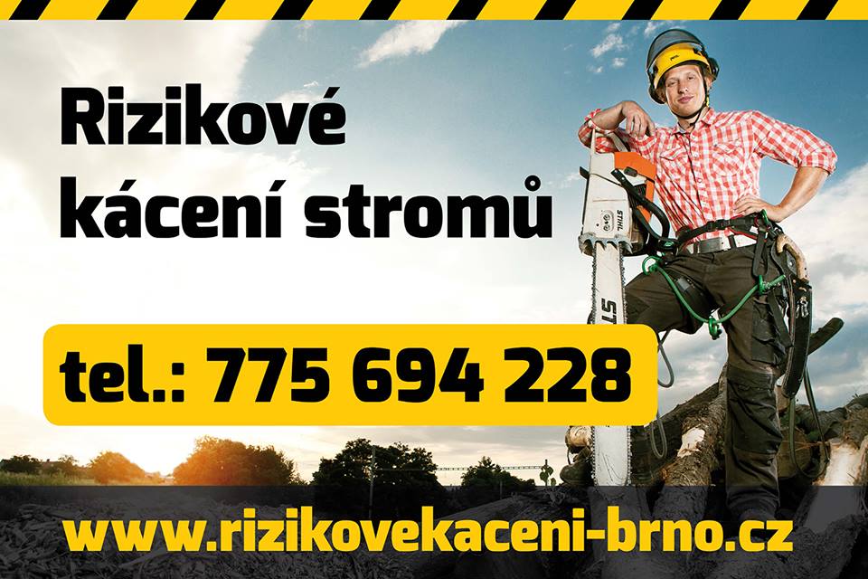 Michal Zeman foto 2