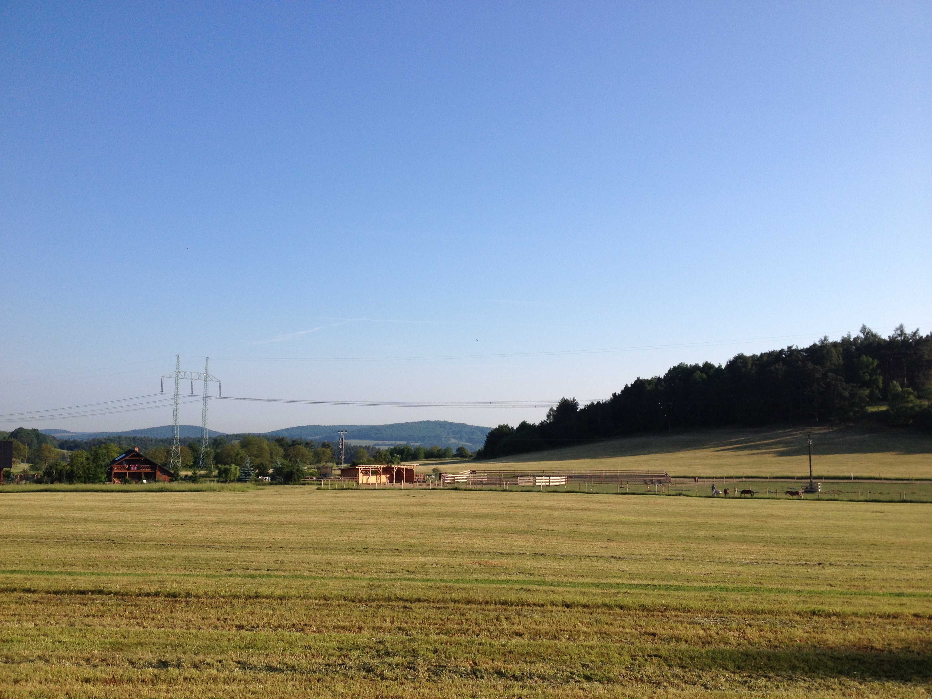 PineTree Pony Farm, z.s. foto 3