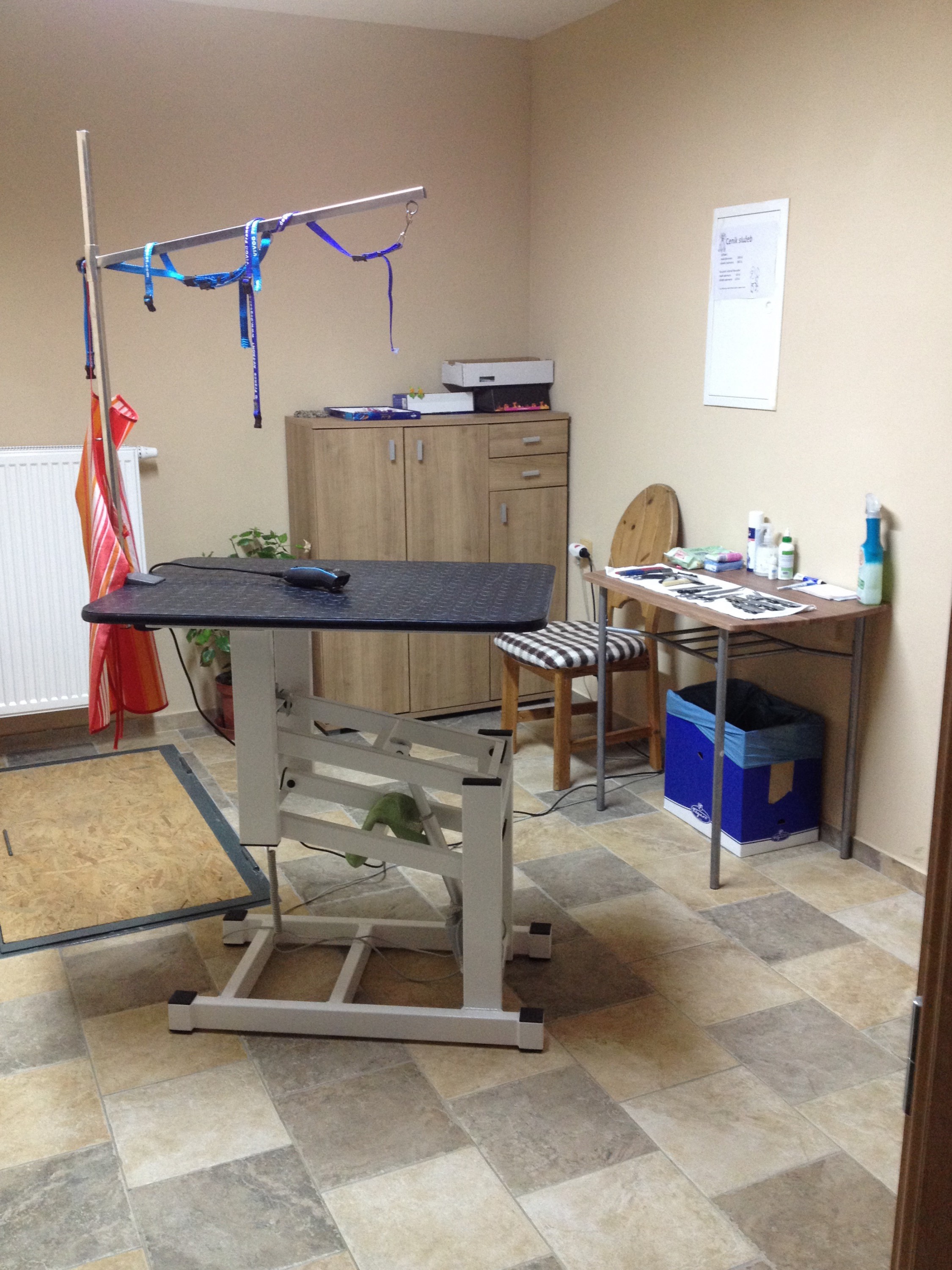 Stříhání psů Jana Tosecká foto 2