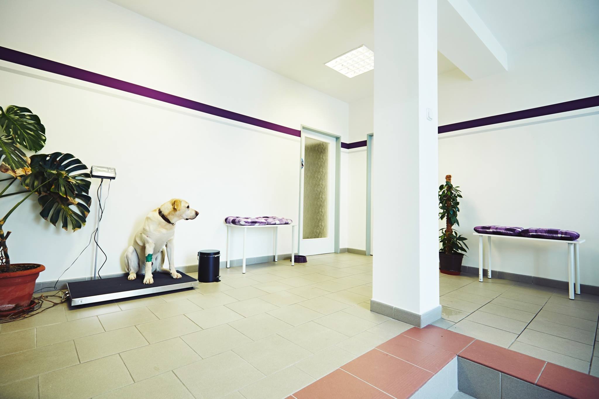 Veterinární ordinace ERVET foto 2