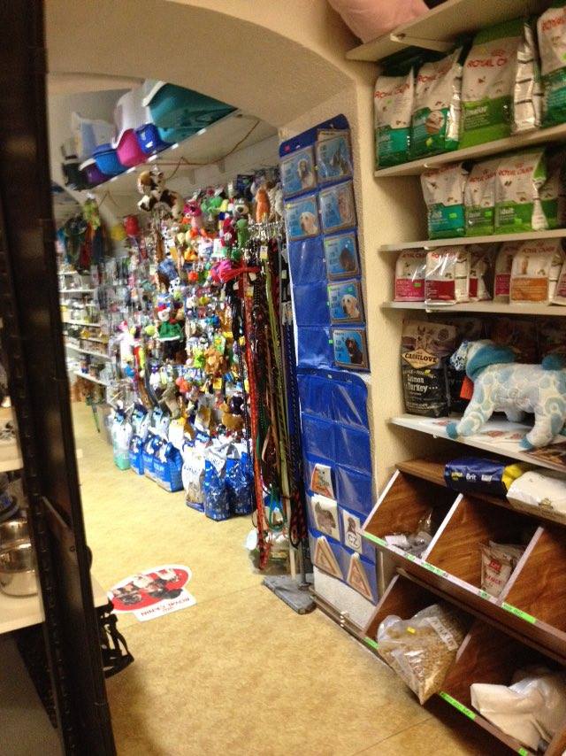 Stříhání a úprava psů Čáslav foto 4