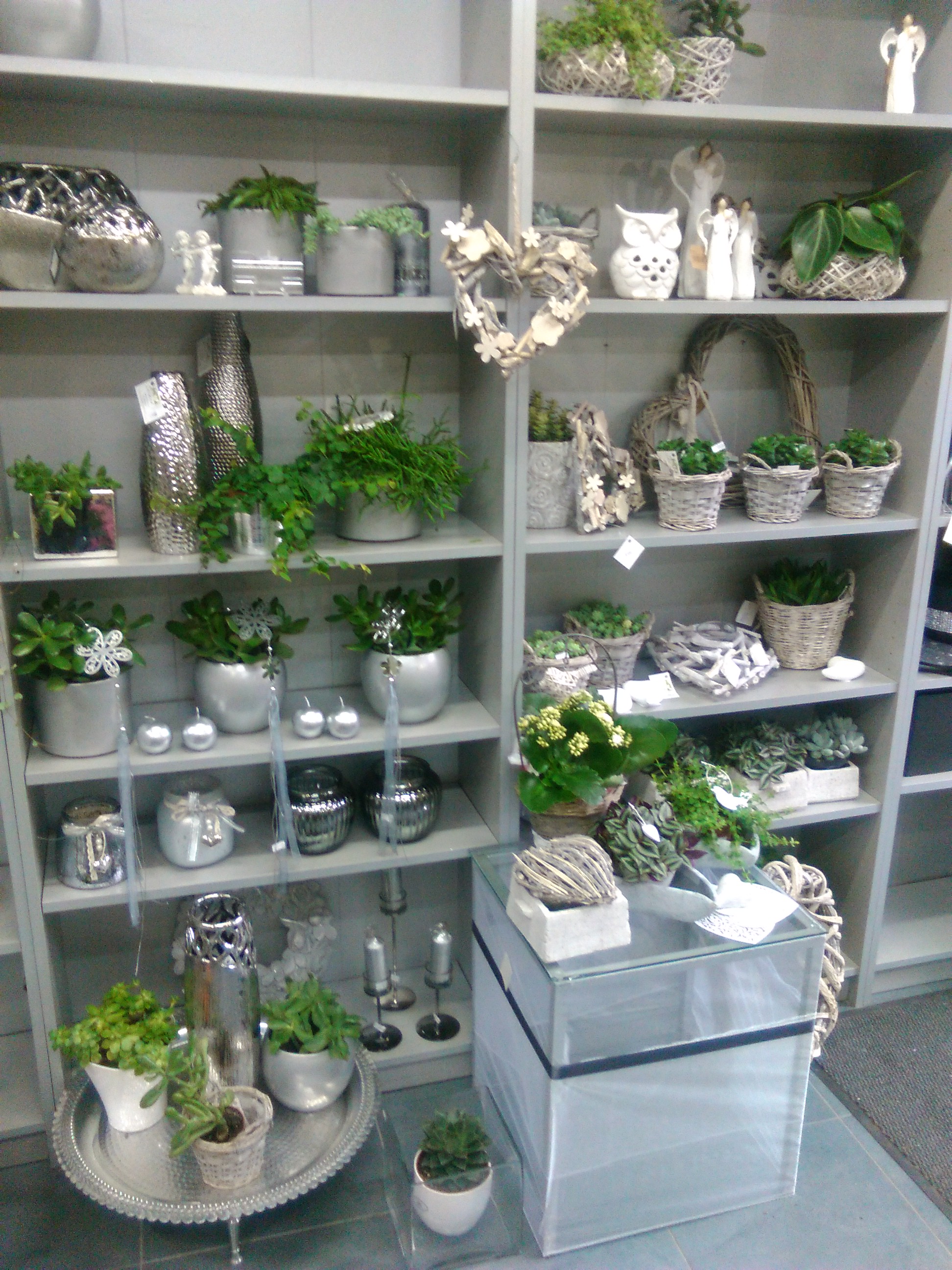 Květiny Incana foto 4