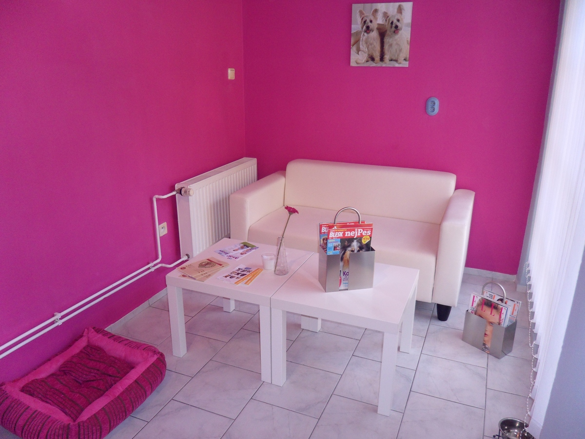 Salon Psí Sen foto 2
