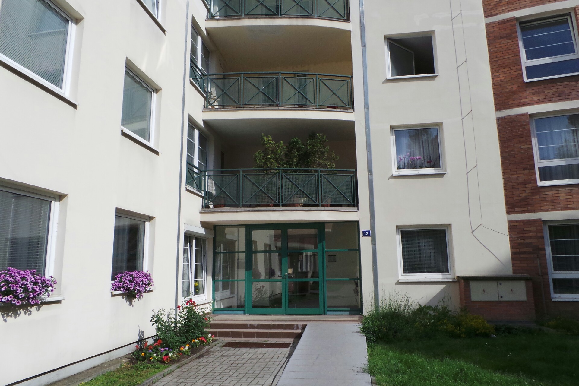 Česká federace freestyle disku