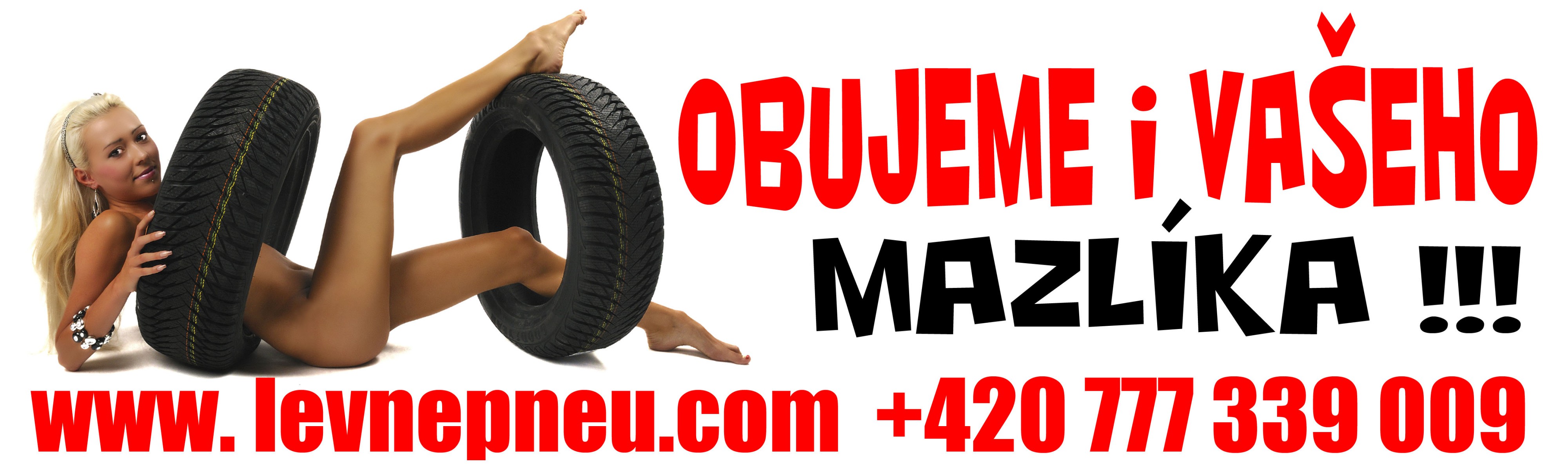 LevnePNEU.com foto 3