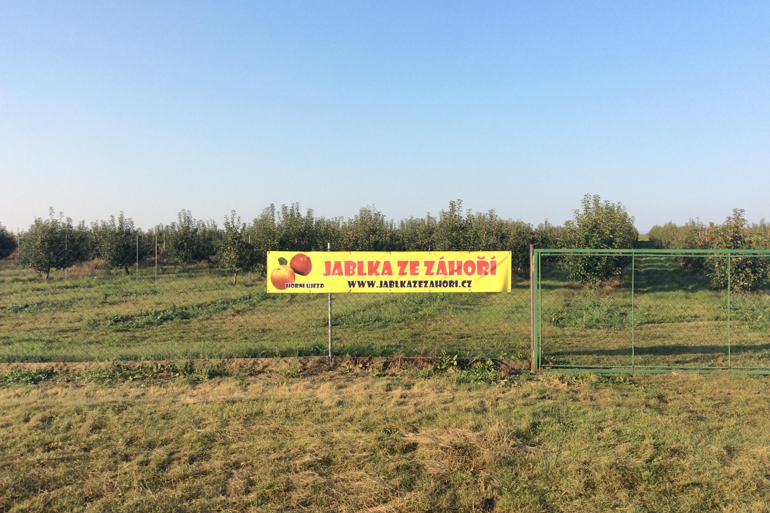 Sadařství - Ing. Josef Hradil