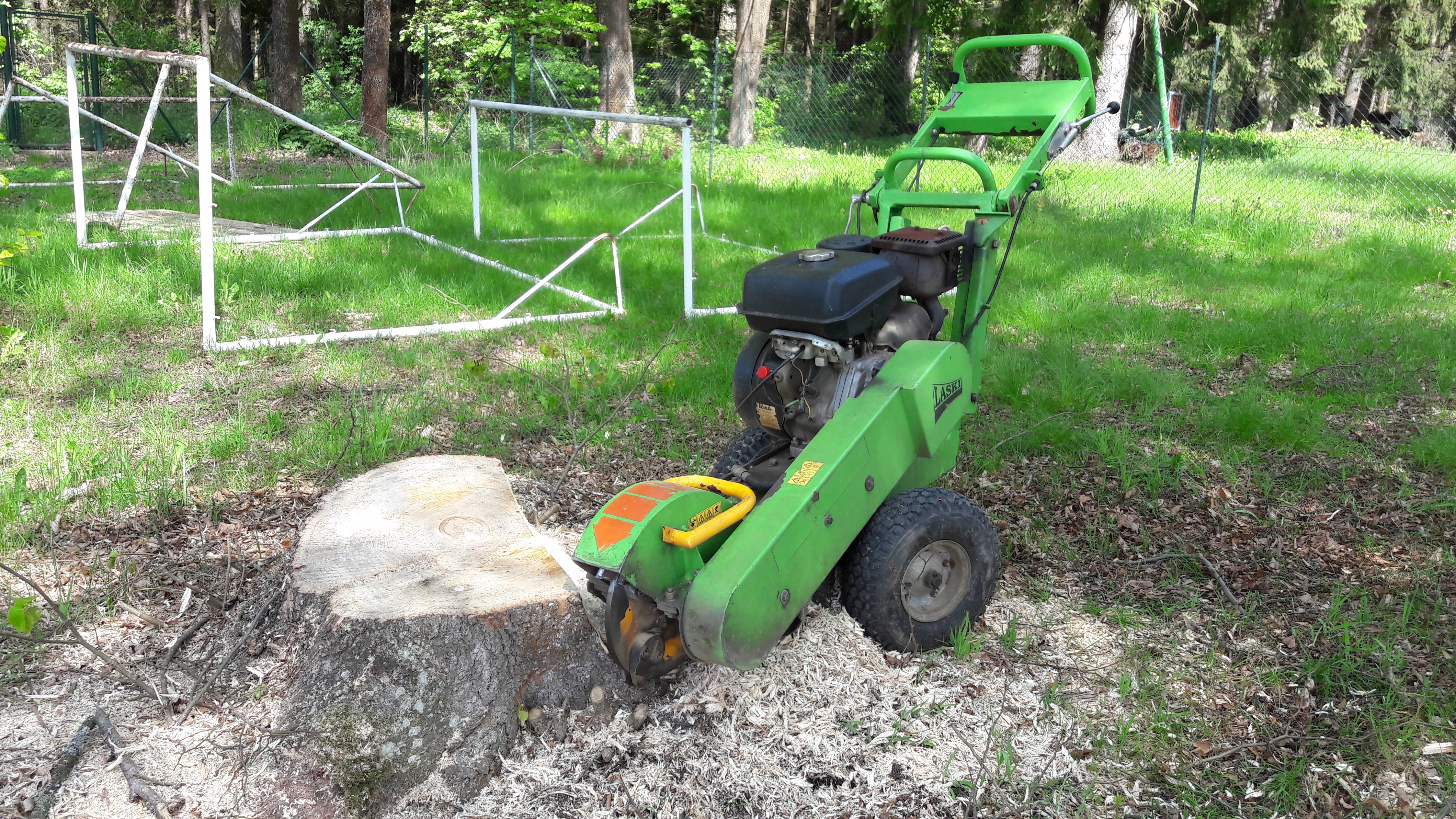 František Richter - kácení-frézování foto 2