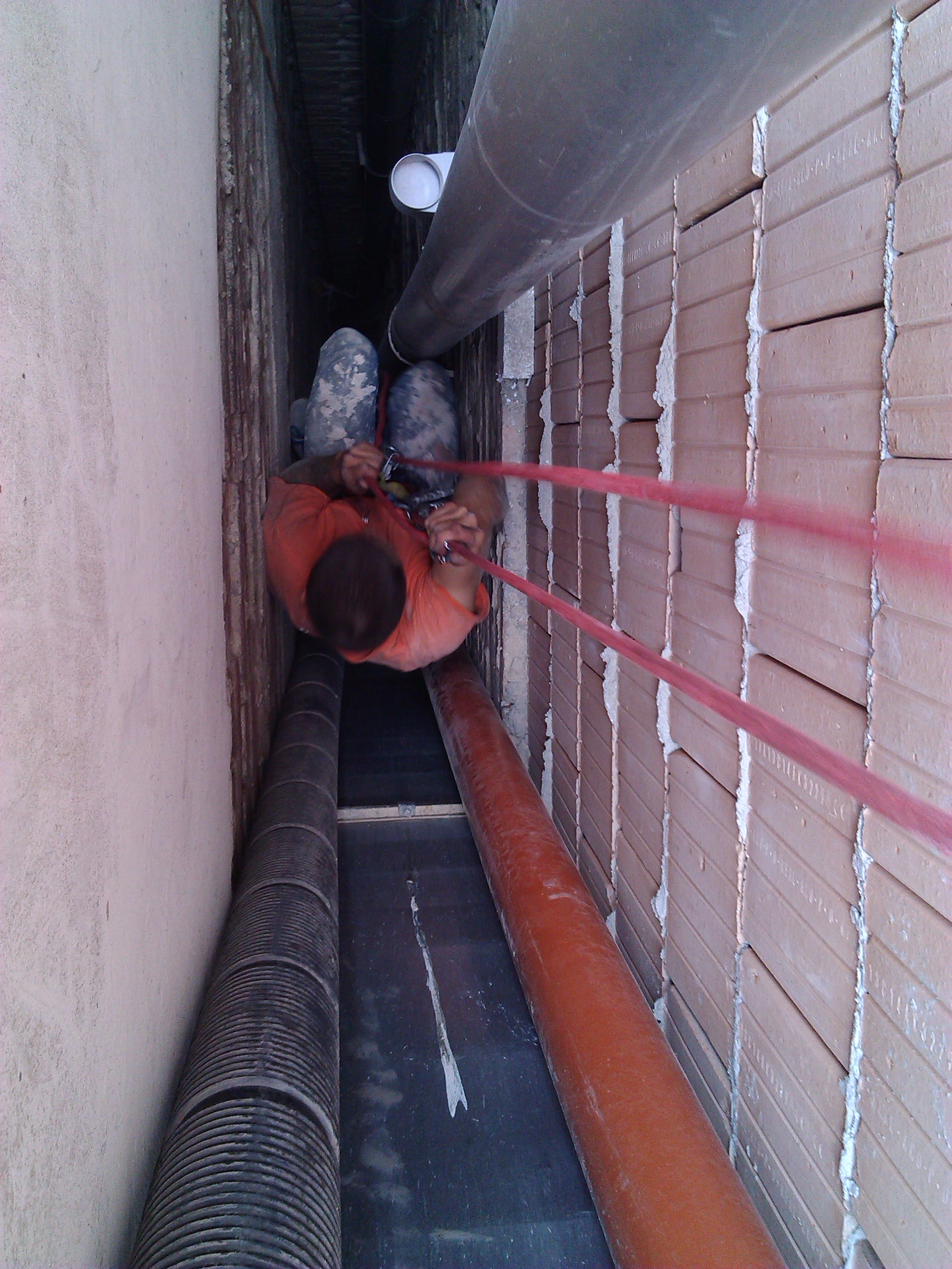 ARBOVERT s.r.o. foto 3