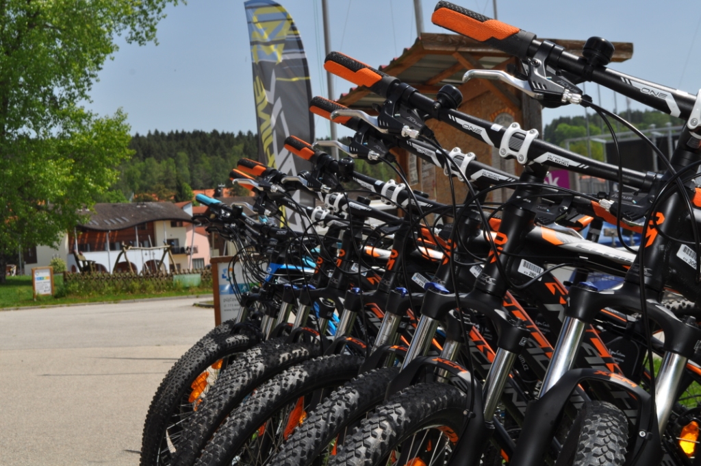 Sportovní půjčovna Lipno Centrum foto 6