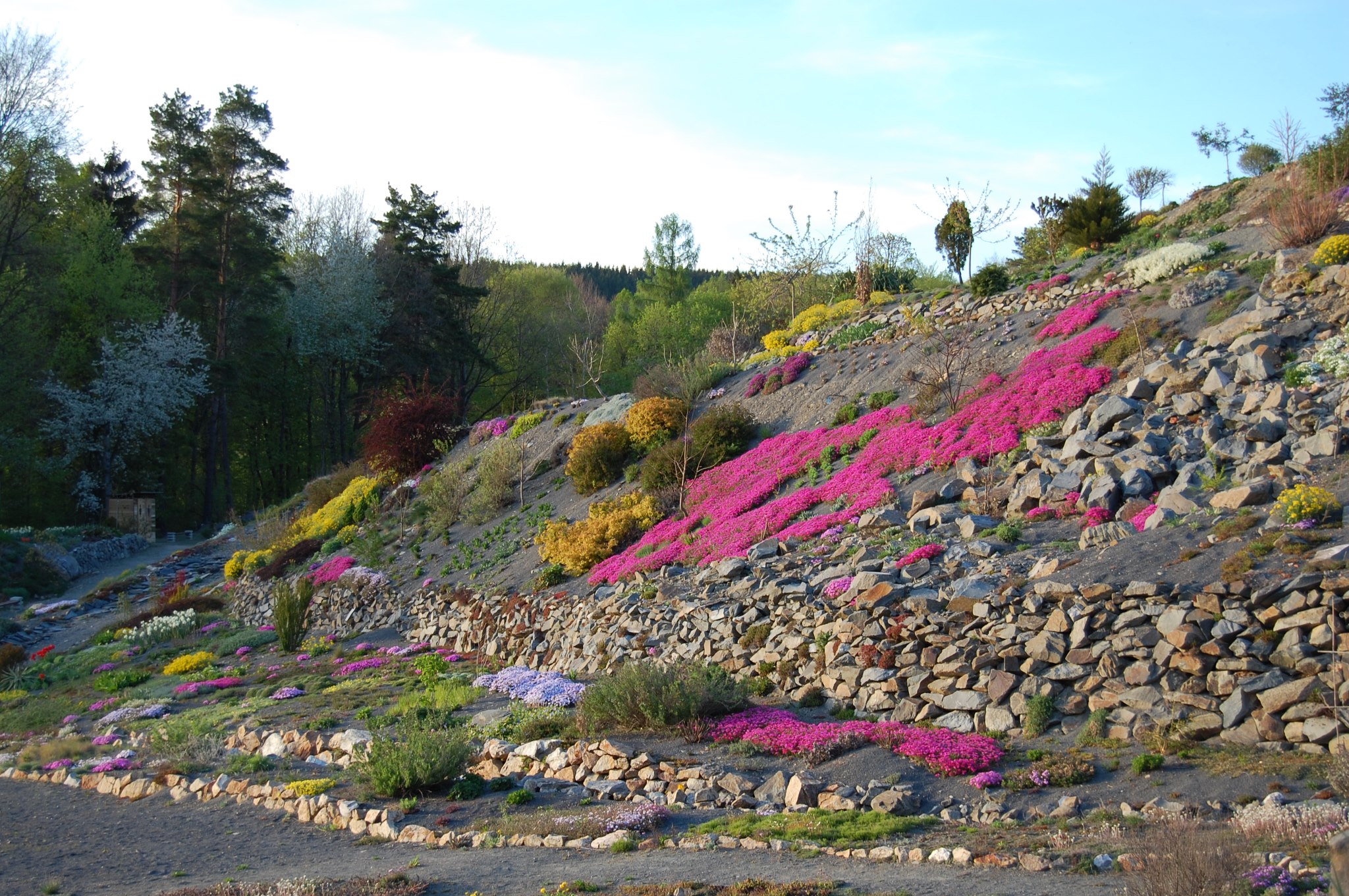 Ing. Radim Slabý - Arboretum Makču Pikču foto 3
