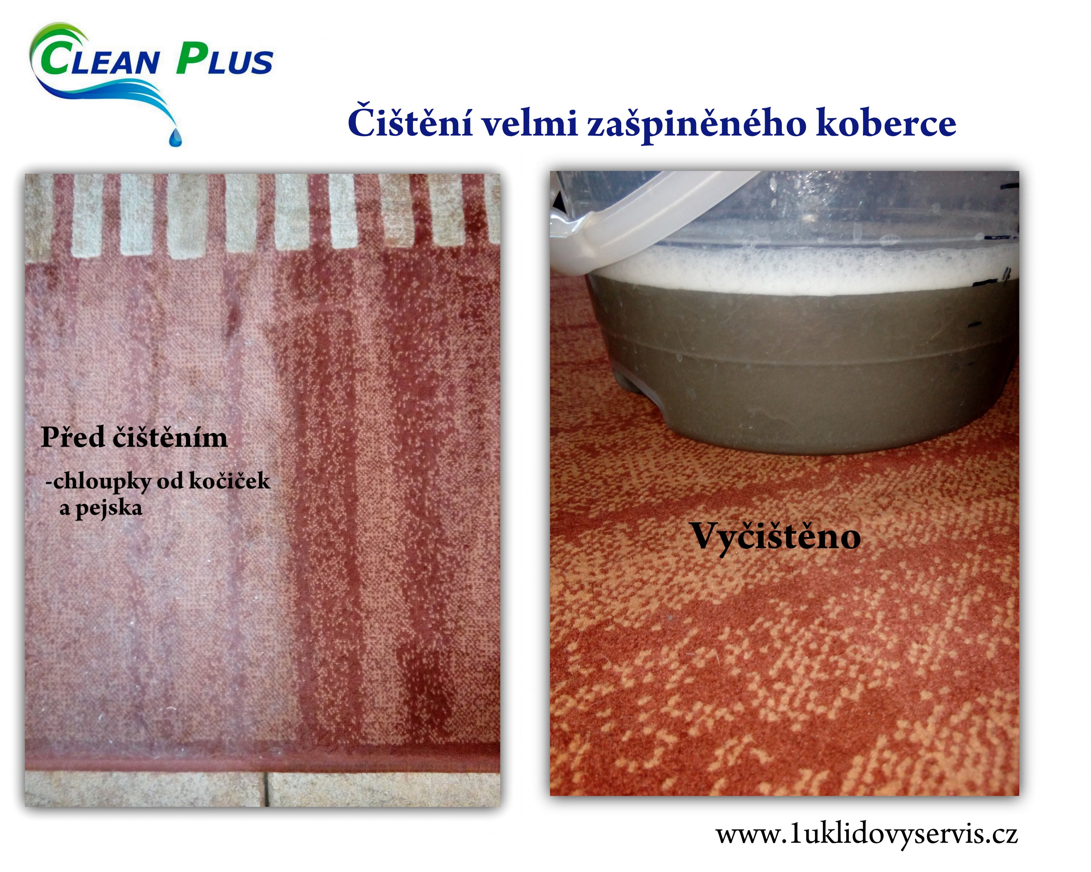 CLEAN PLUS foto 4
