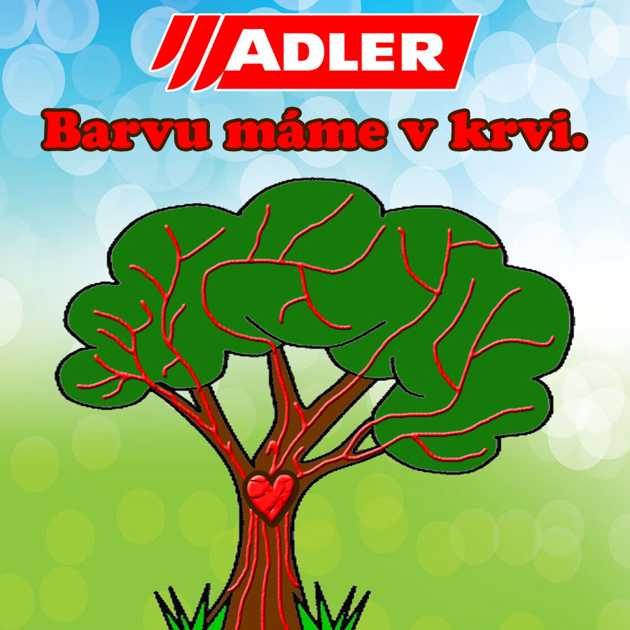 Barvy laky omítky u Lípy foto 4