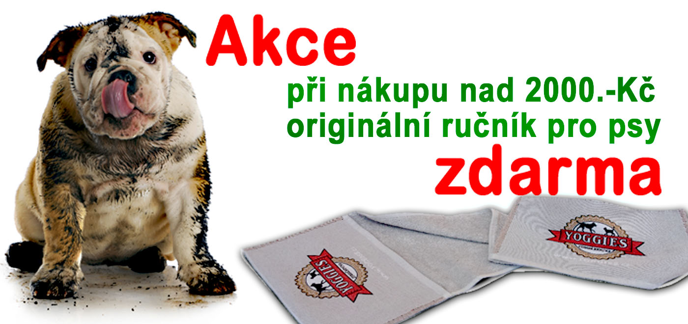 DogLife.cz foto 3