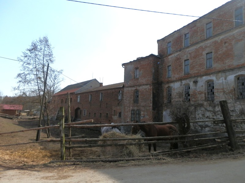 Hanácký jezdecký klub Litovel foto 3