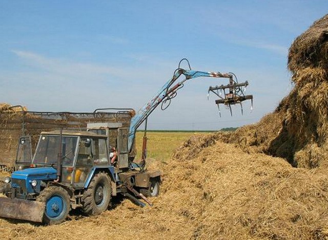 Zemědělské družstvo Kokory foto 2