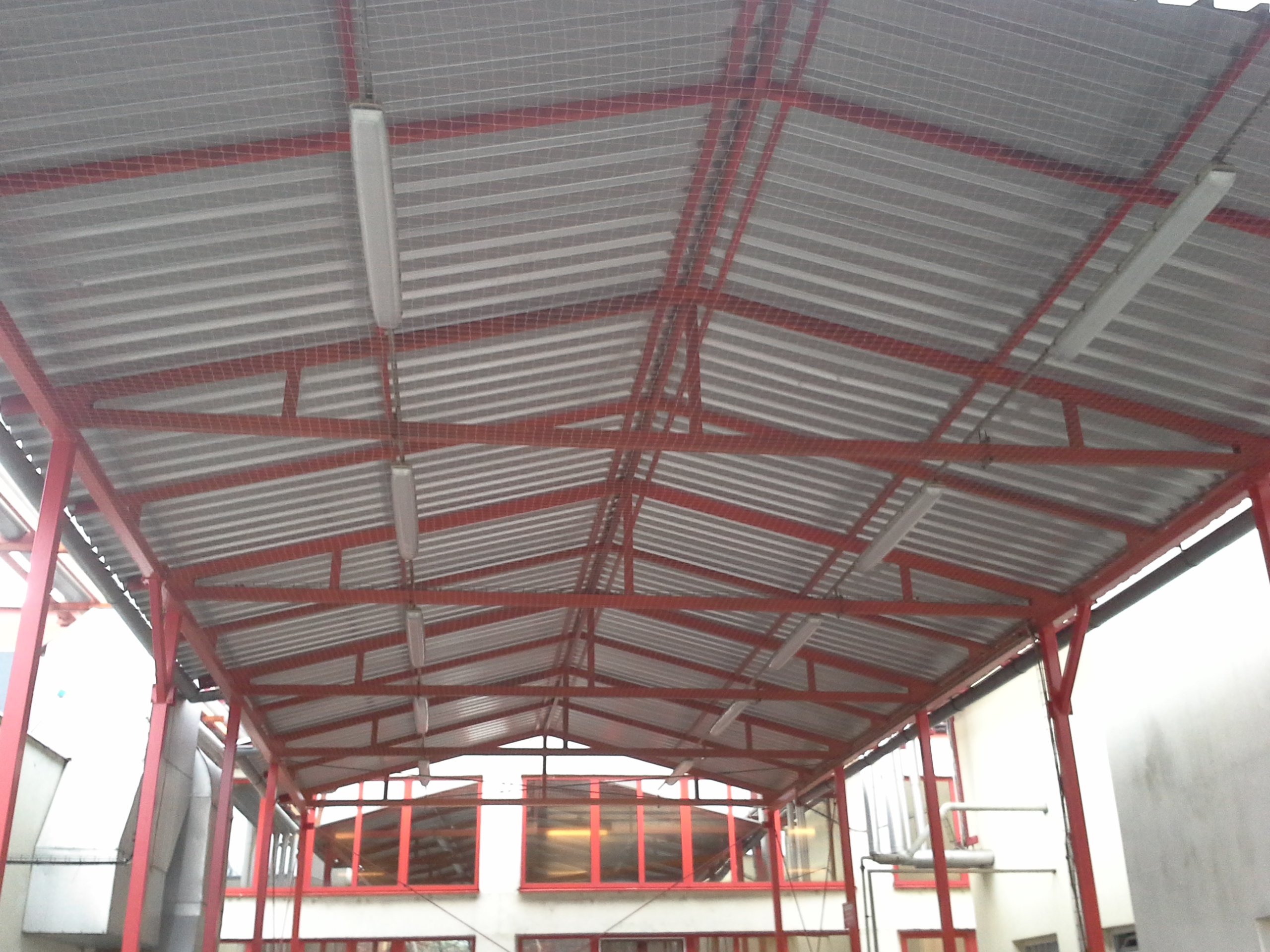 Vladimír Liška - K9 foto 3