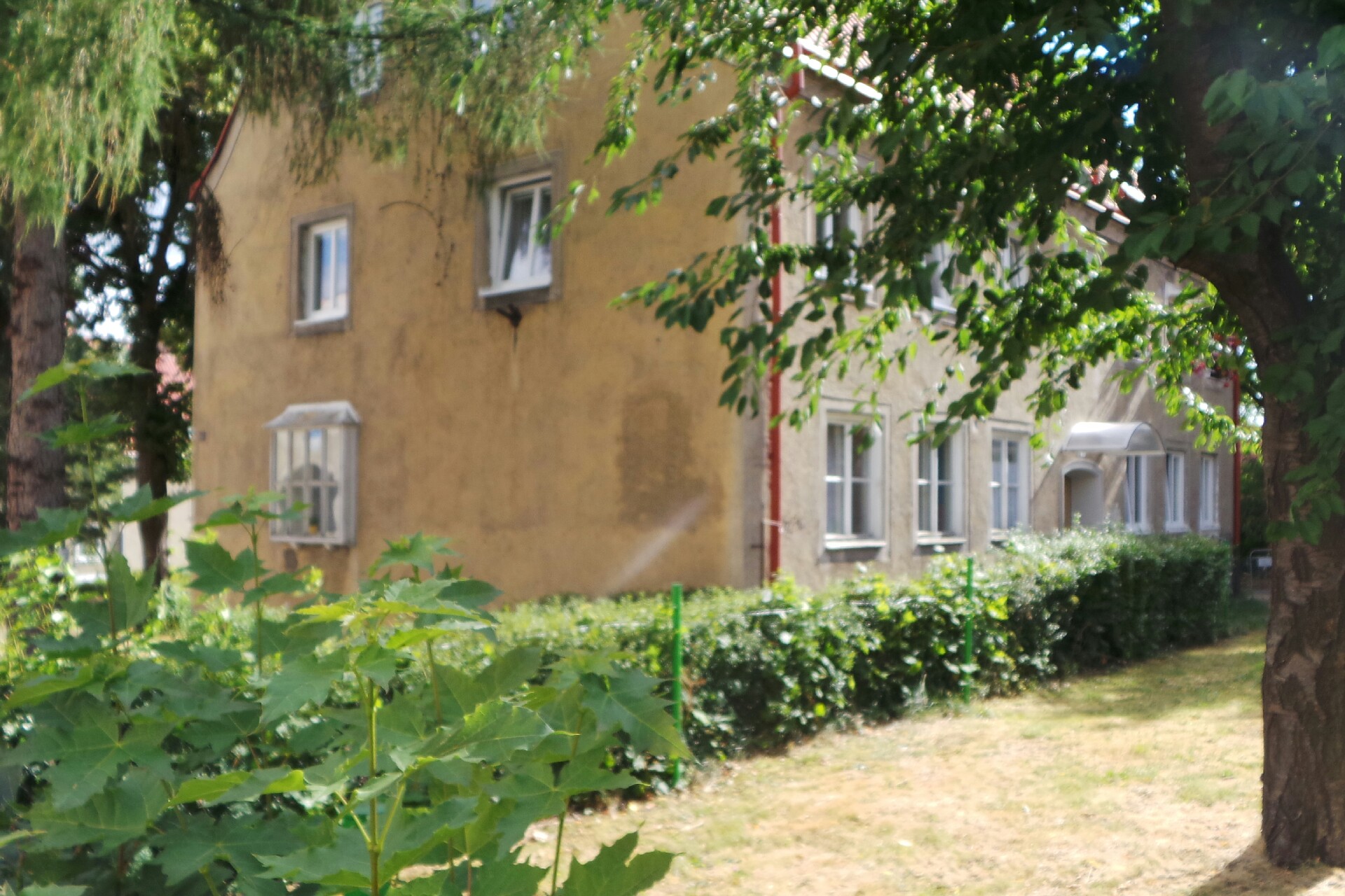 Miroslav Jahnel - old-cars