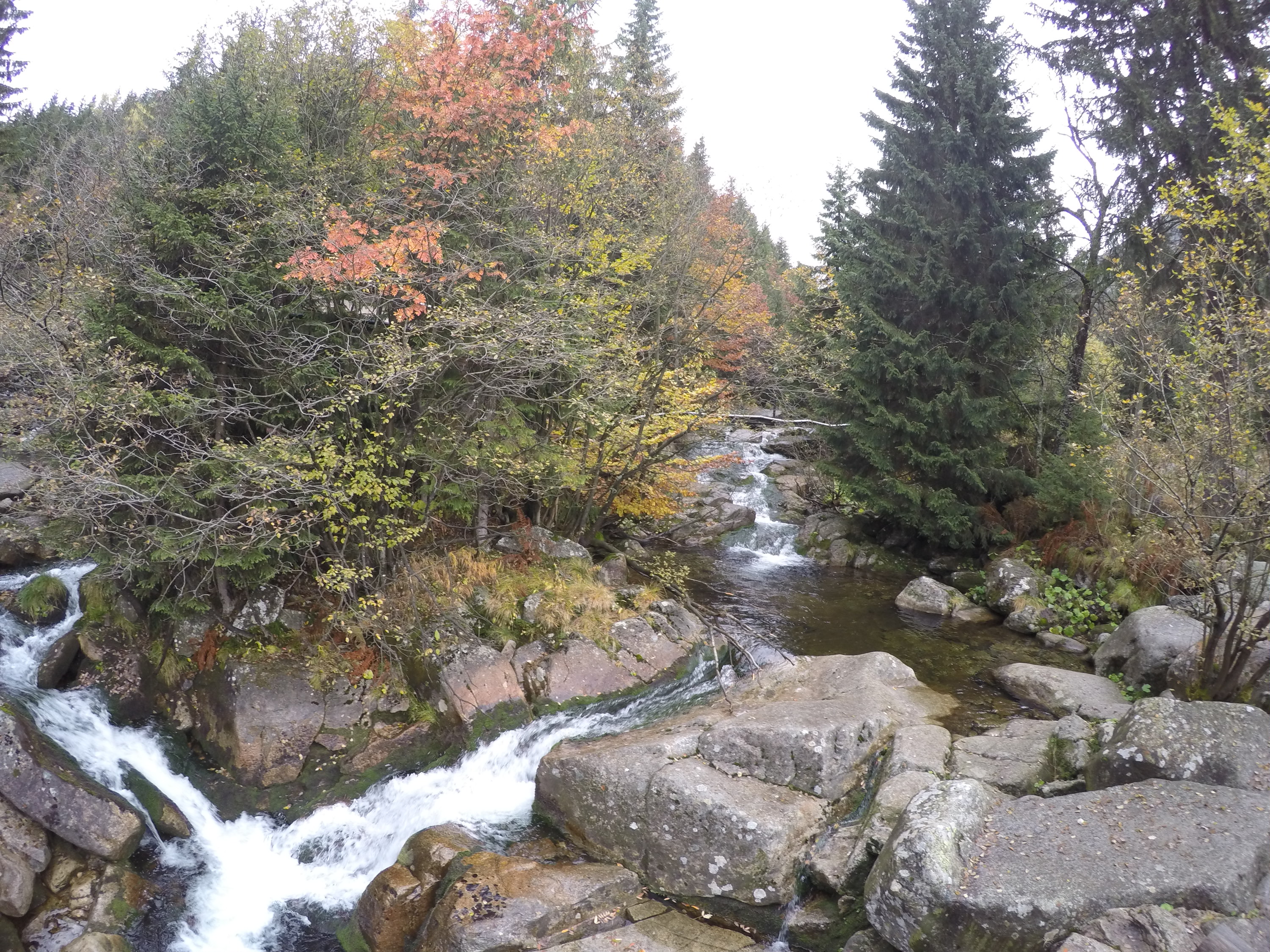 Restaurace Bouda Bílé Labe foto 2