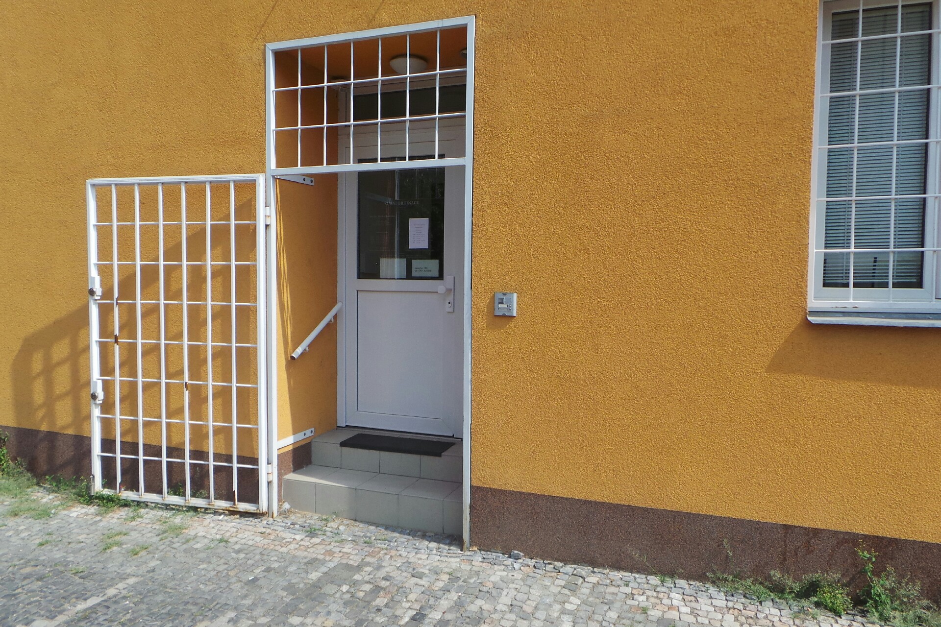 MUDr. Michal Vodička