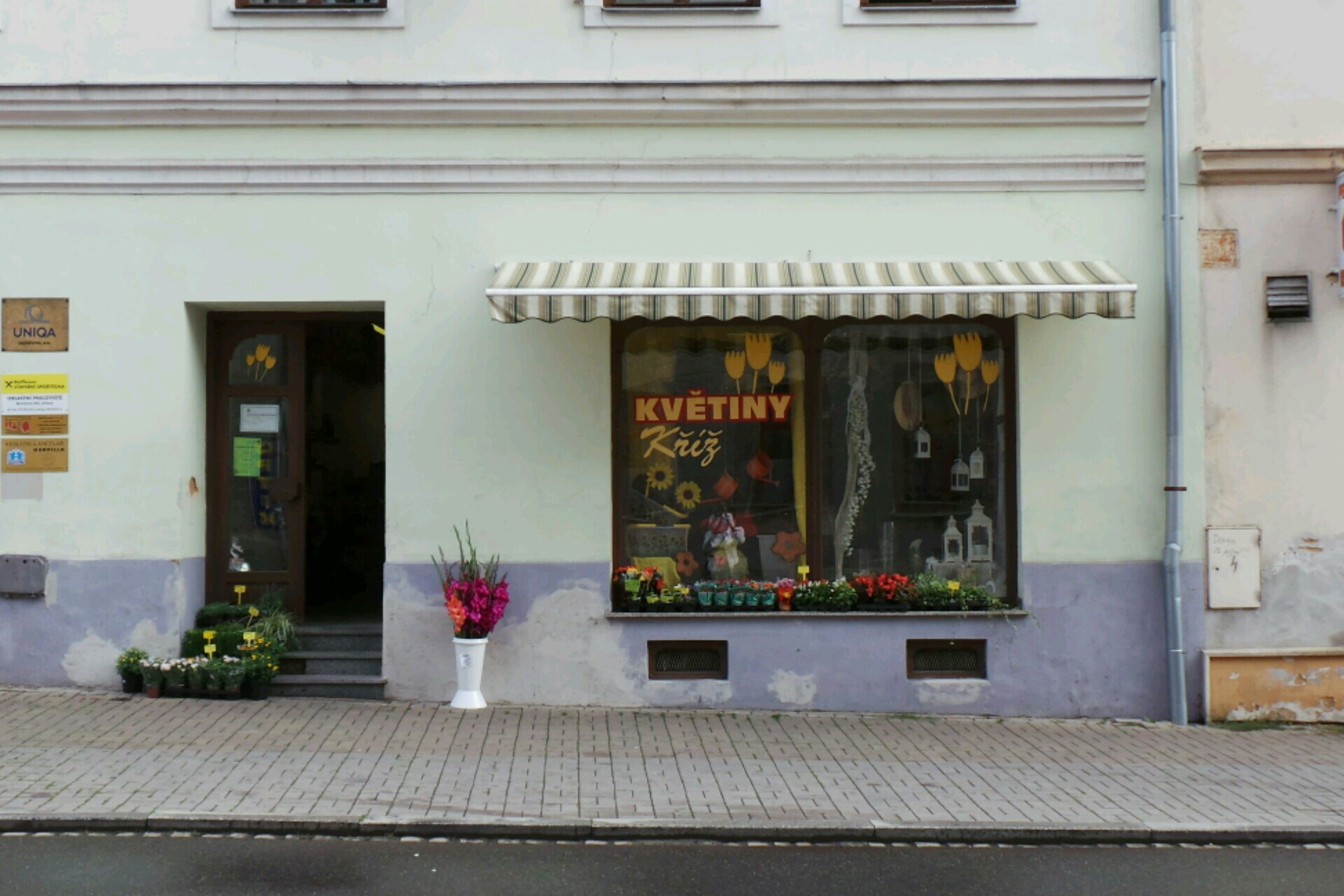 Flora - Miroslav Kříž