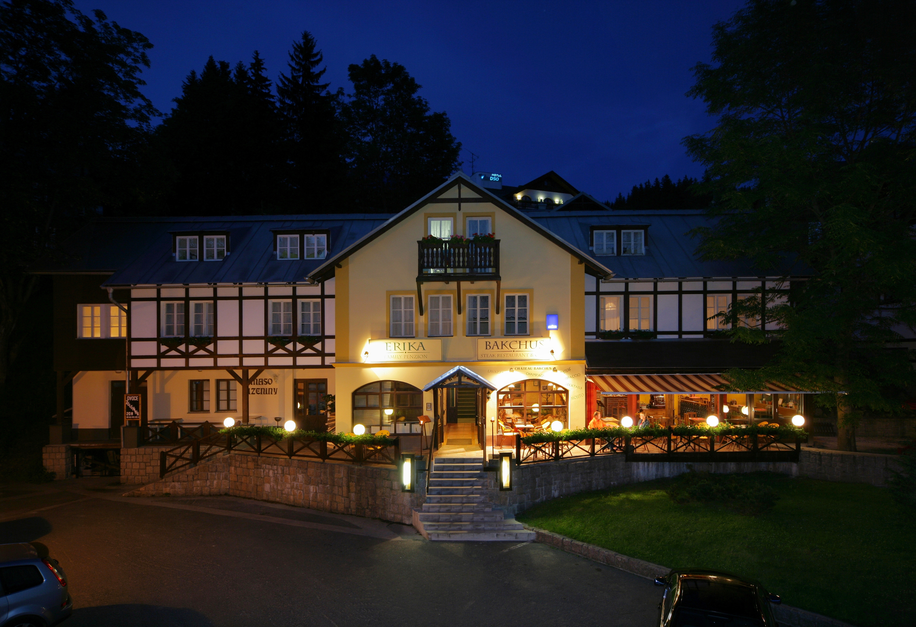 Hotel Erika ***+ Špindlerův Mlýn
