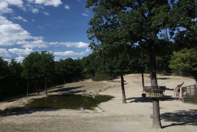 Zoo Brno a stanice zájmových činností foto 2