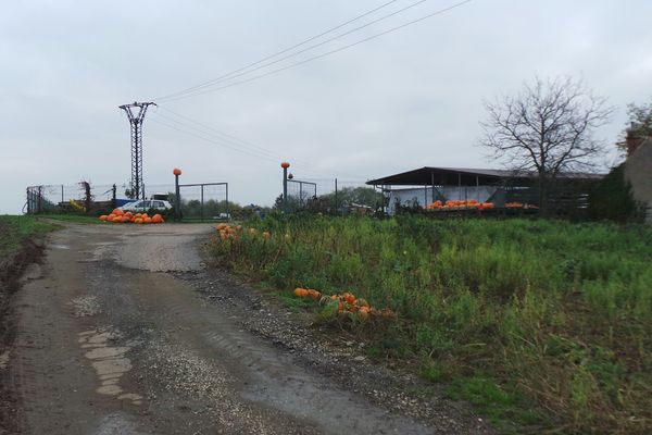 Zahradnictvi Slapanice () Zahradnictvi Slapanice