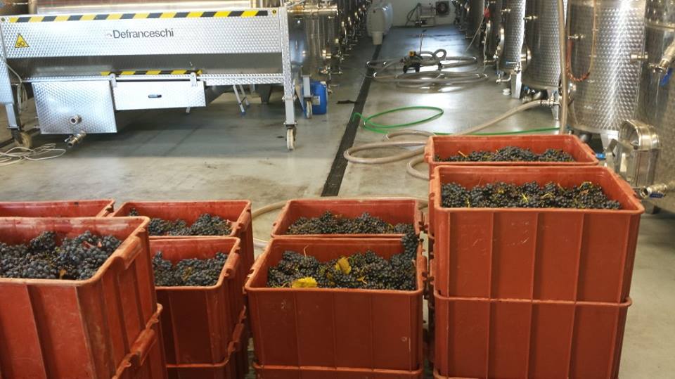 Vinařství Na Soutoku Karel Průša foto 2