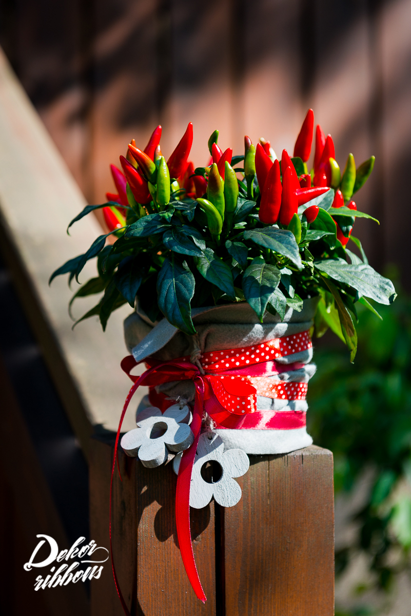 Dekor-ribbons.cz foto 3