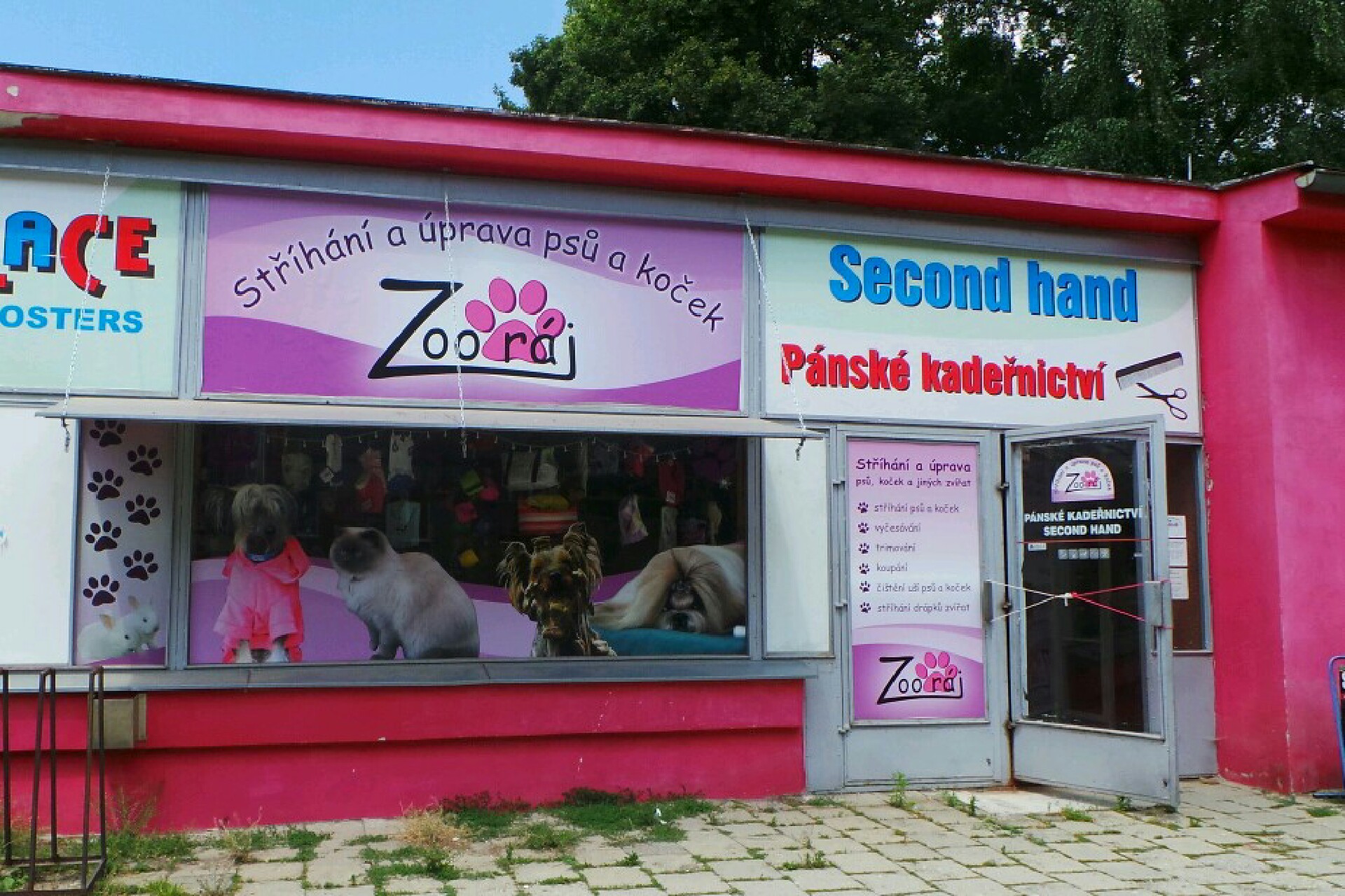 Vladimíra Venoušová