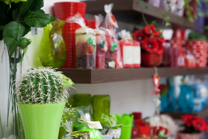 Cactus květiny foto 6