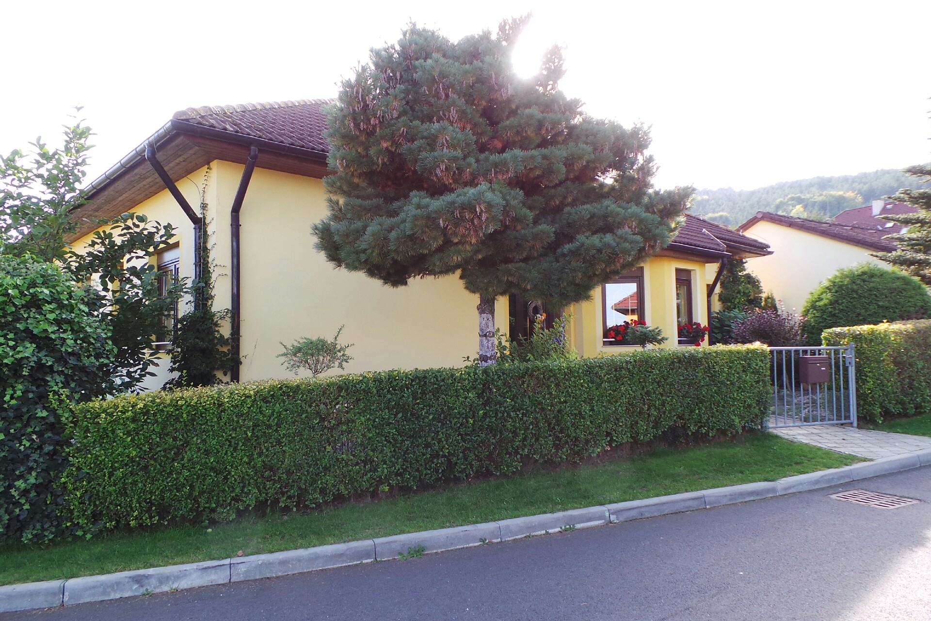 Vlasta Pixová - výroba svíček