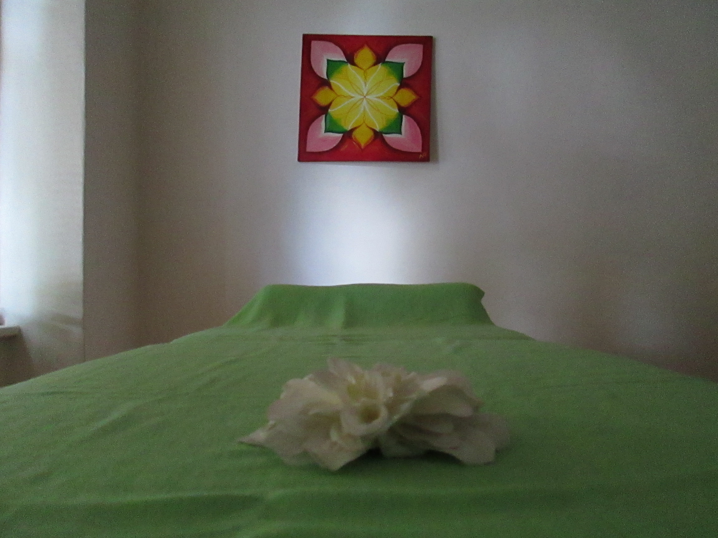 V dobrých rukách foto 3