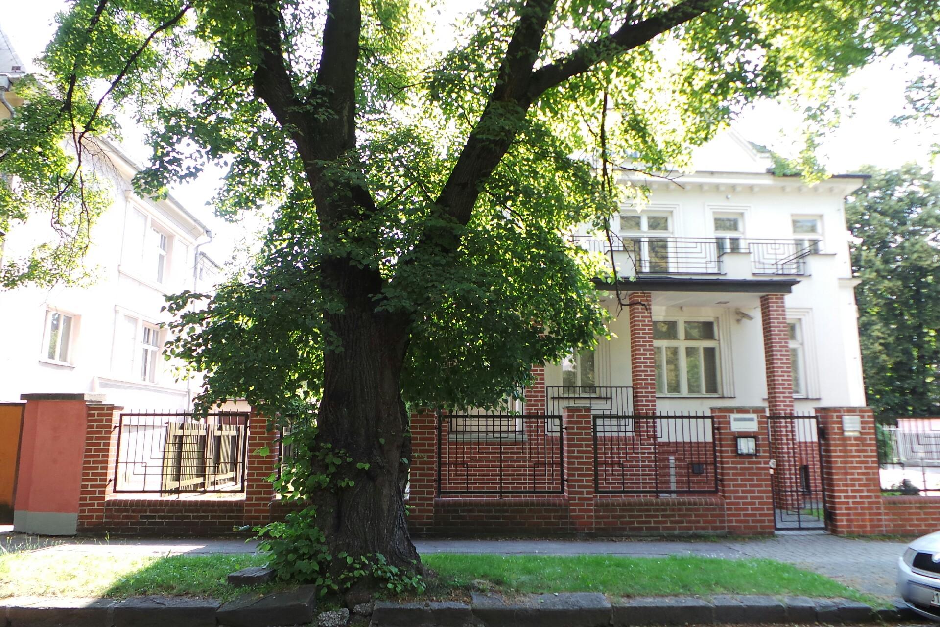 Mgr. Ing. Jan Zonek, advokát