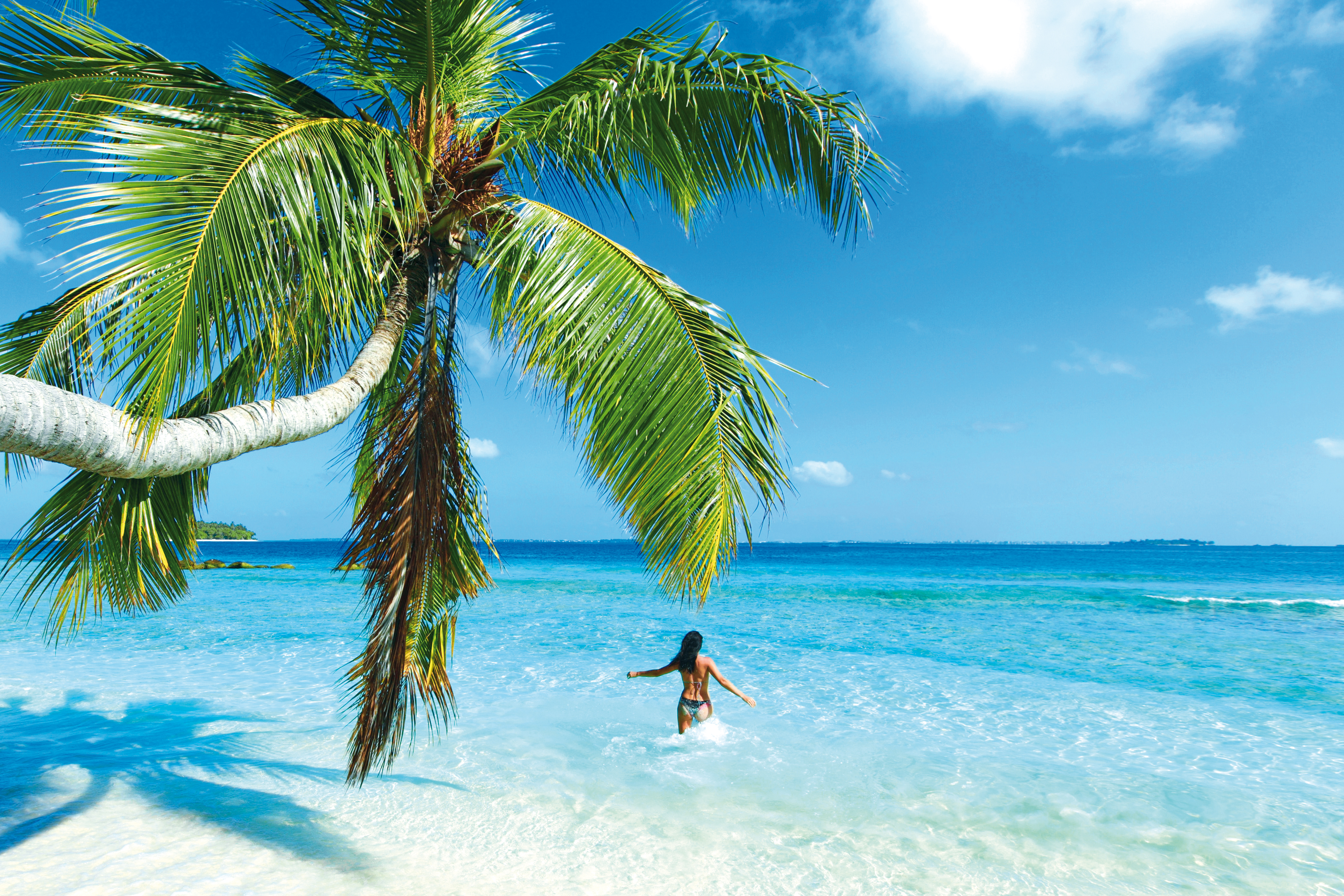 ALEXANDRIA, cestovní kancelář foto 4