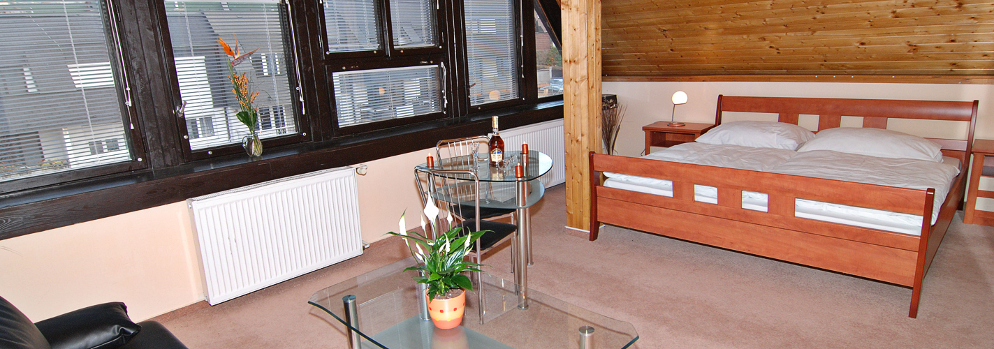 Apartmány Chodov foto 2