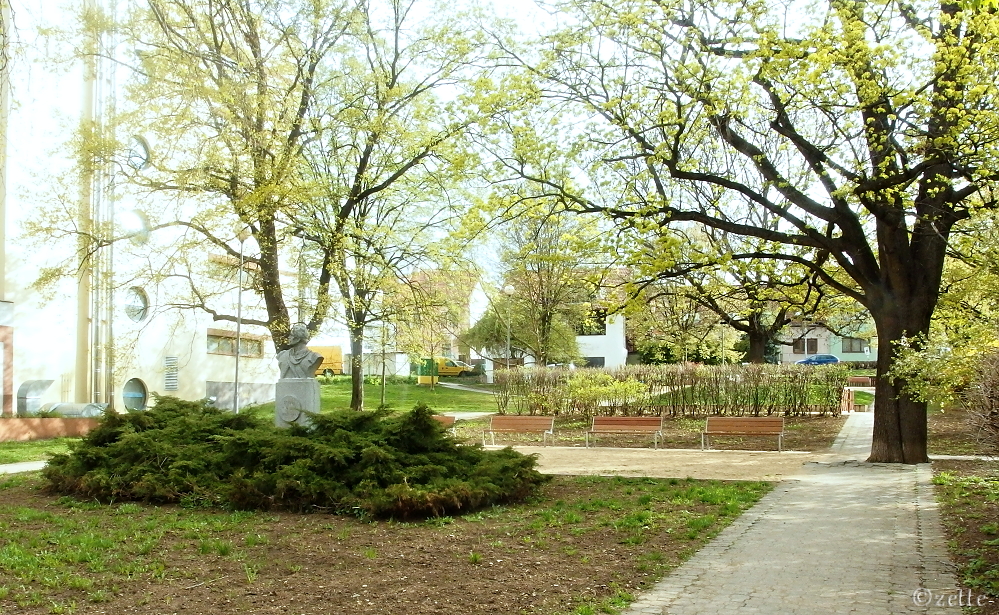 Úřad městské části Brno-Židenice foto 2