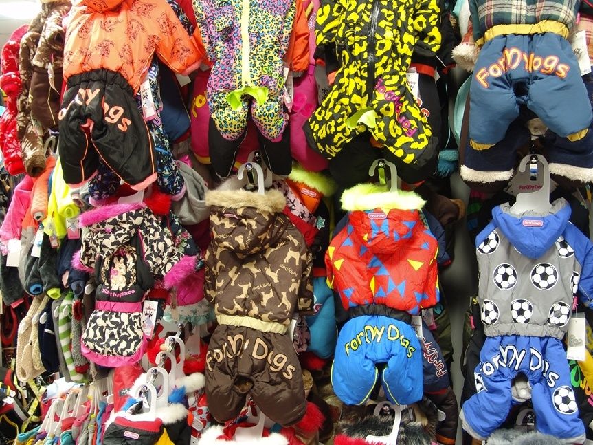 HafHaf shop foto 5