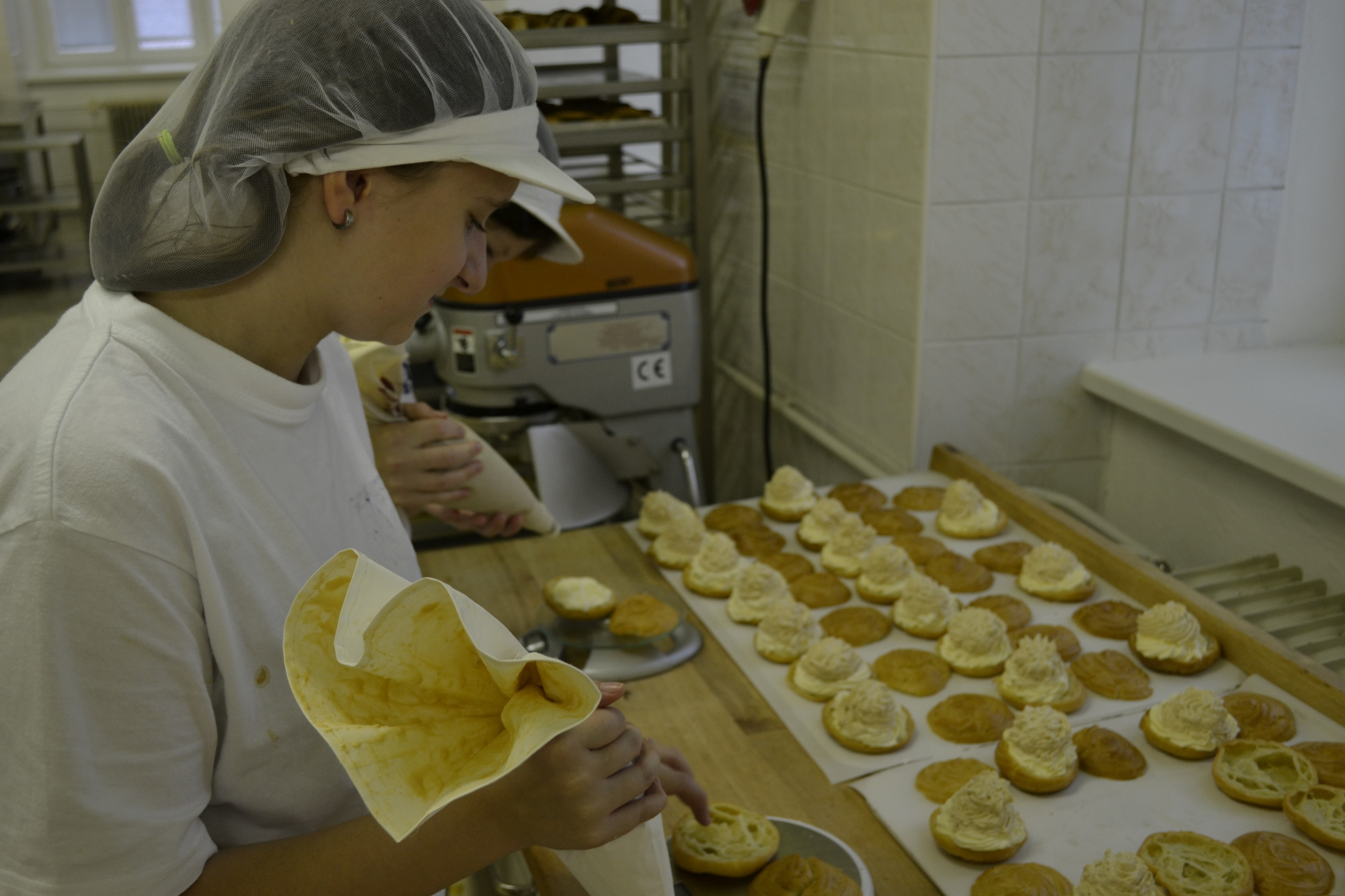 Střední odborná škola Litovel foto 4