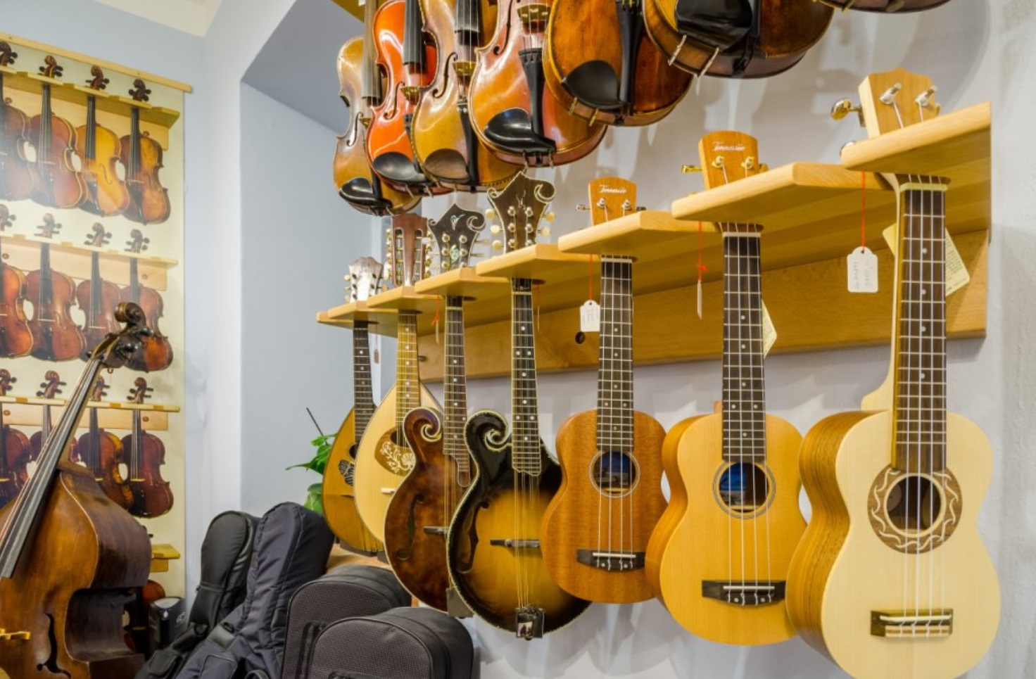 CHN.cz | České hudební nástroje foto 6