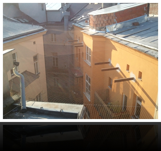 RADEXA foto 4