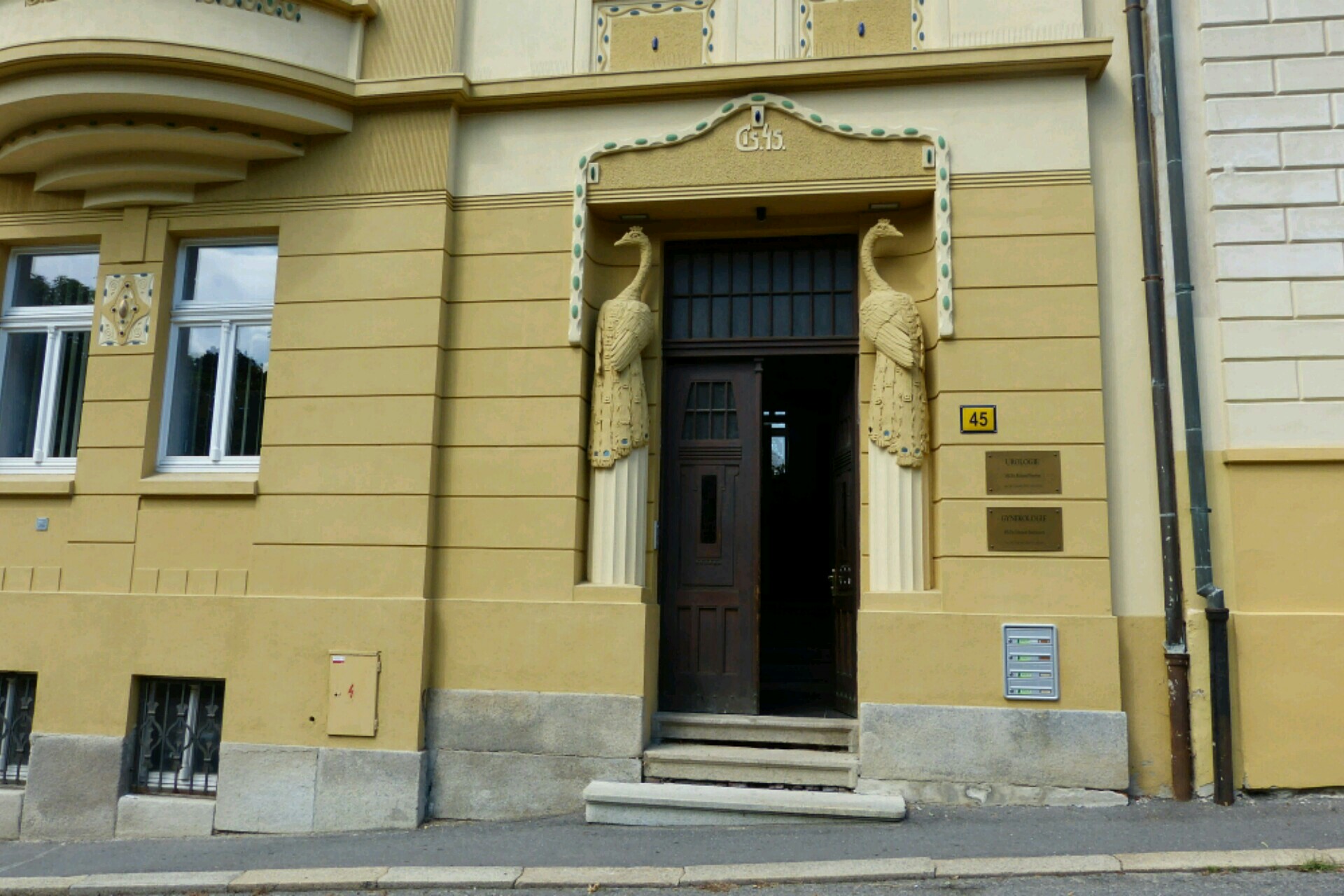 MUDr. Martina Bambasová