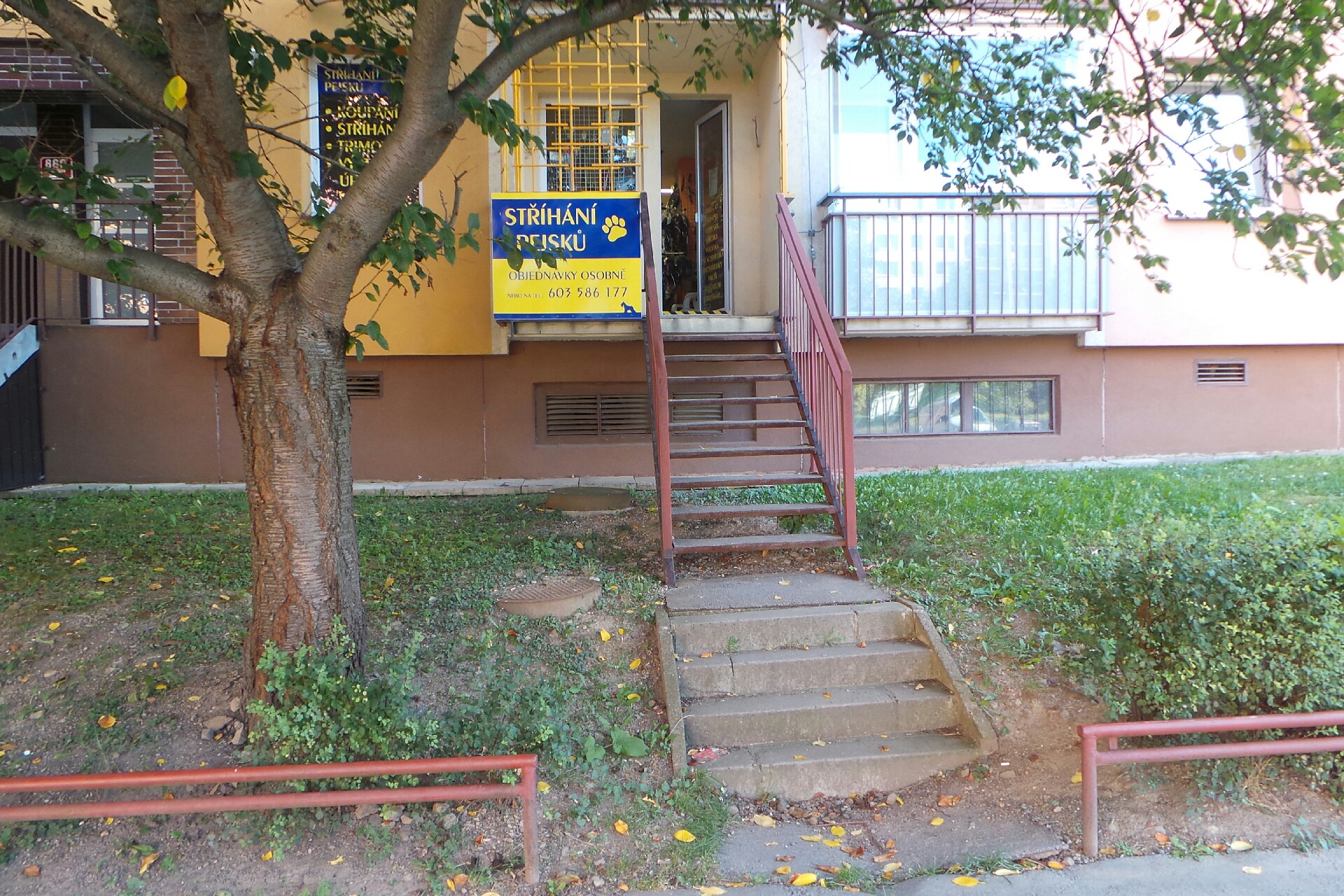 Radka Brabcová - Stříhání pejsků